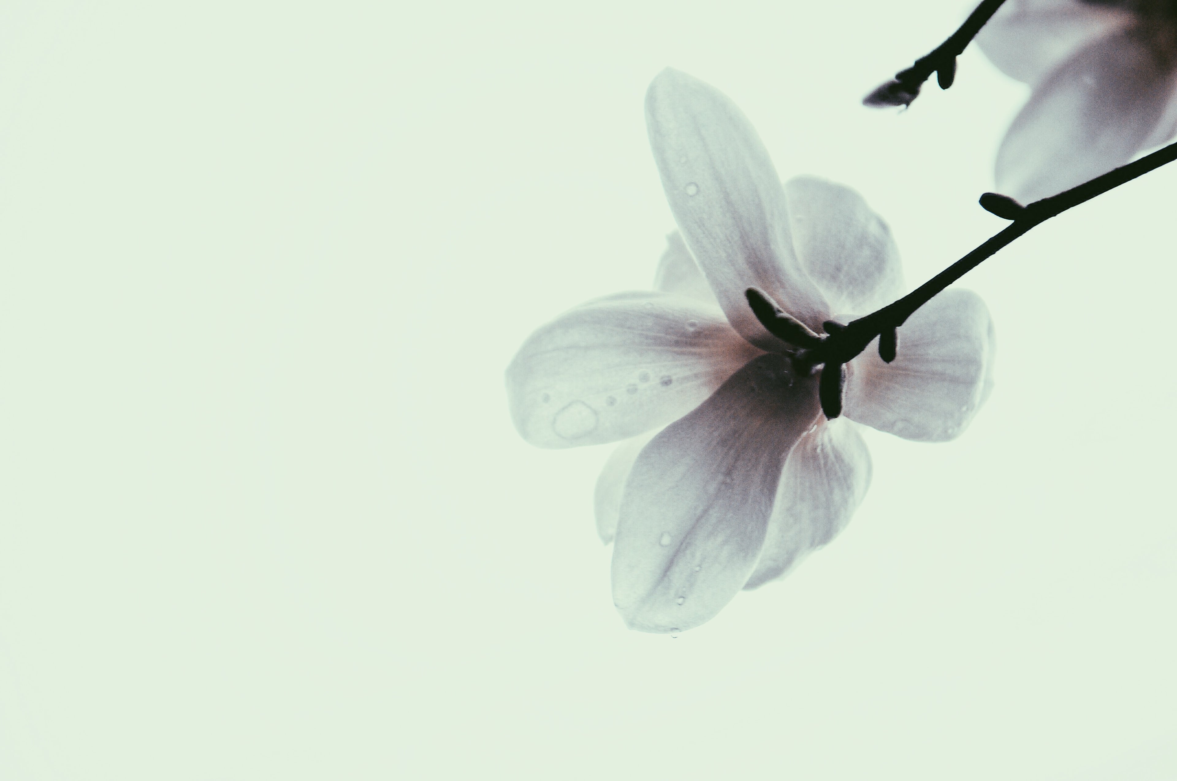 Ceramides lock moisture into your skin, which helps prevent dryness and irritation.